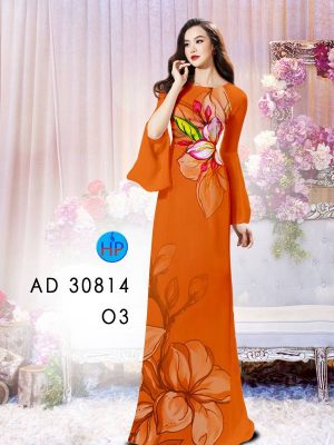 1624253458 179 vai ao dai dep vua ra (16)